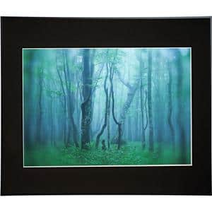 Kenko (ケンコー) アルミ額縁 ギャラリー A2 アクリル入り AGY-A2-BK ブラック メイン