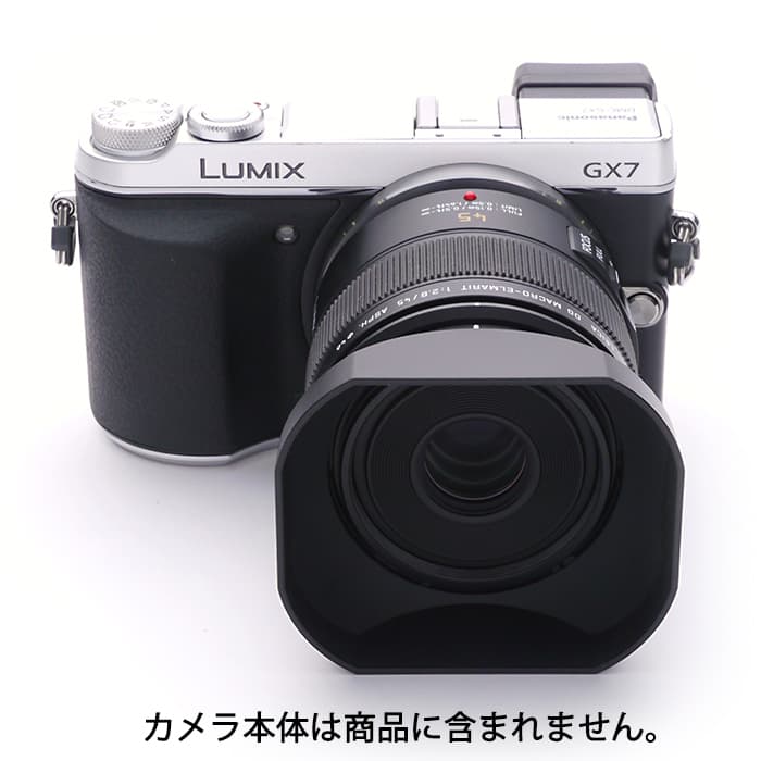 新品)Panasonic (パナソニック) LEICA DG MACRO-ELMARIT 45mm F2.8