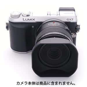 Panasonic (パナソニック) LEICA DG MACRO-ELMARIT 45mm F2.8 ASPH. MEGA O.I.S. H-ES045
