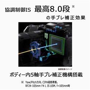 Canon (キヤノン) EOS R6 Mark II ボディ
