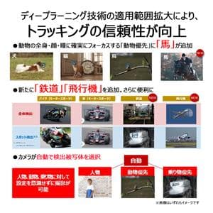Canon (キヤノン) EOS R6 Mark II ボディ