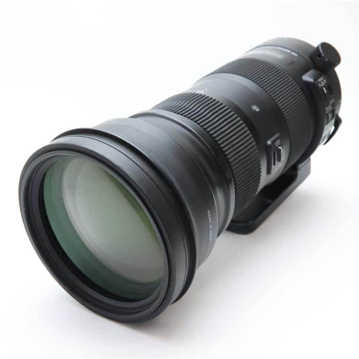 Sports 150-600mm F5-6.3 DG OS (ニコンF用)