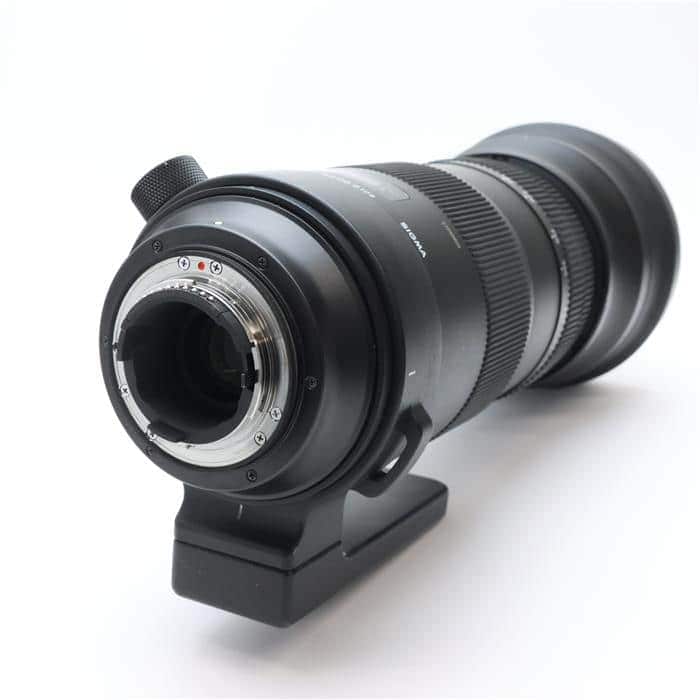 Sports 150-600mm F5-6.3 DG OS (ニコンF用)