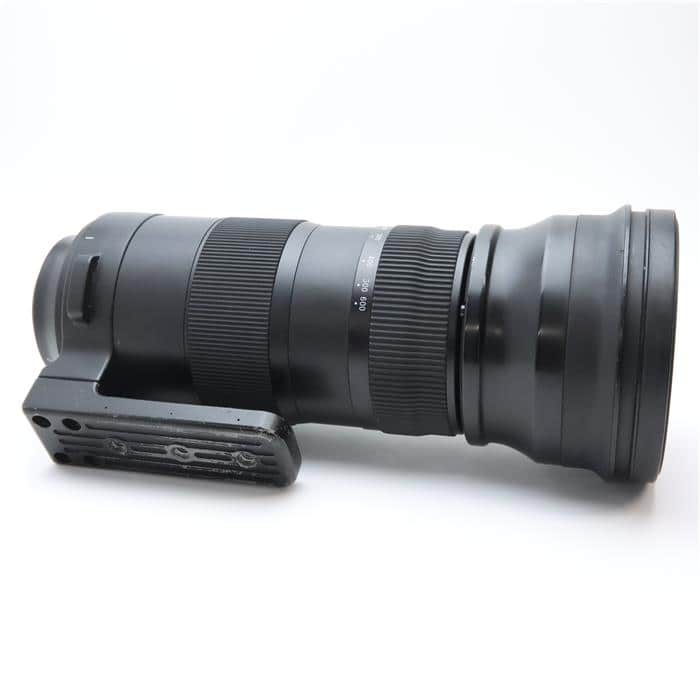 Sports 150-600mm F5-6.3 DG OS (ニコンF用)