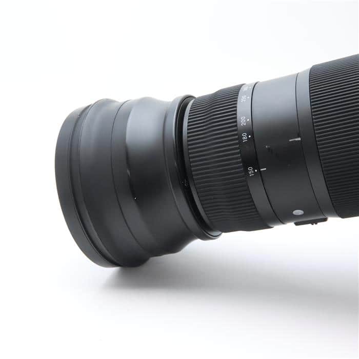 Sports 150-600mm F5-6.3 DG OS (ニコンF用)