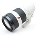 FE 100-400mm F4.5-5.6 GM OSS SEL100400GM
