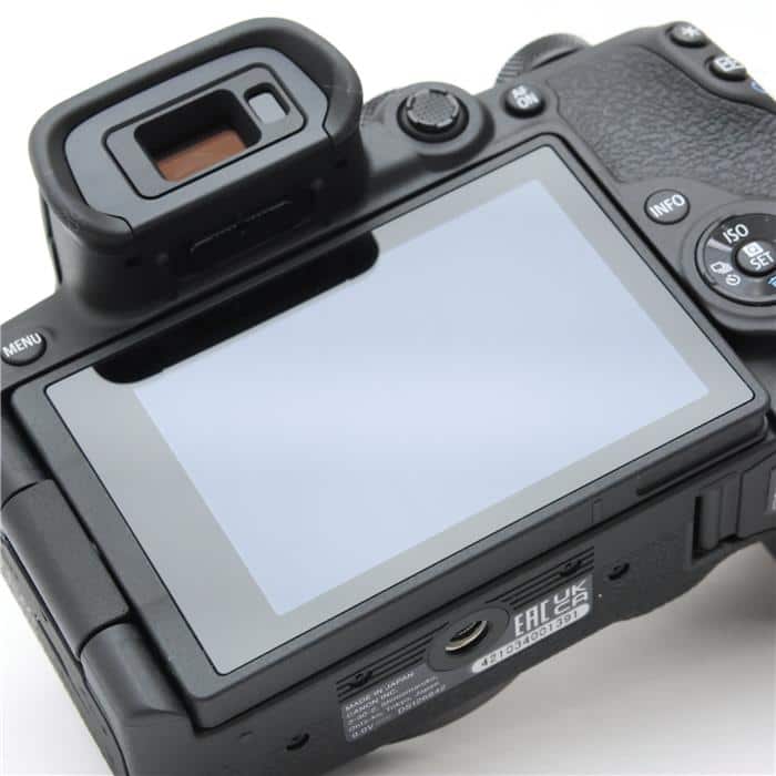 EOS R10 RF-S18-45 IS STM レンズキット