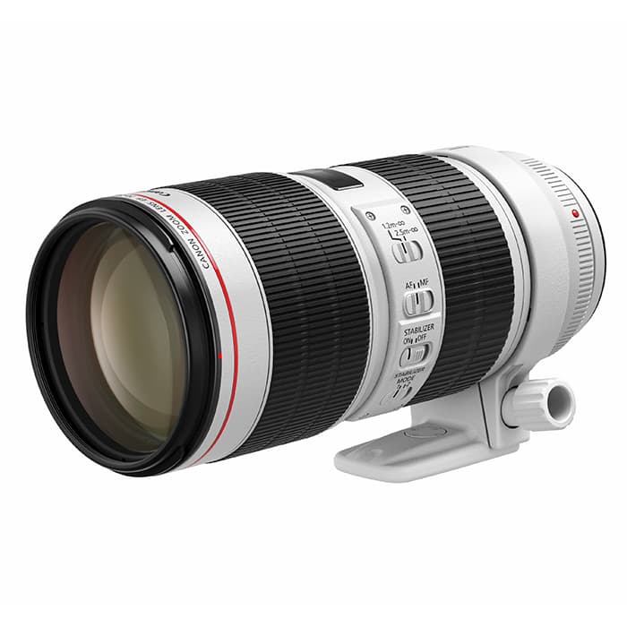 Canon EF 70-200mm f/2.8L USM