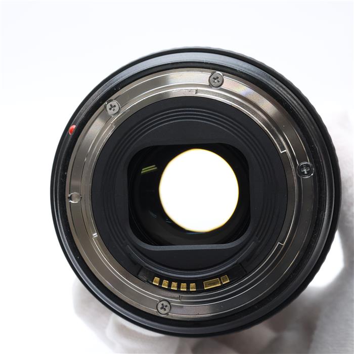 EF24-105mm F4L IS II USM