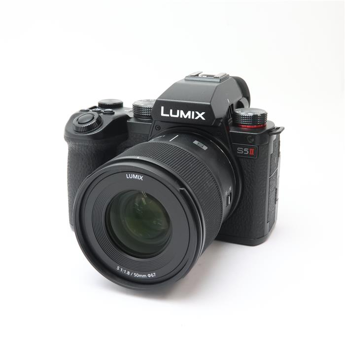 LUMIX S5II ダブルレンズキット DC-S5M2W