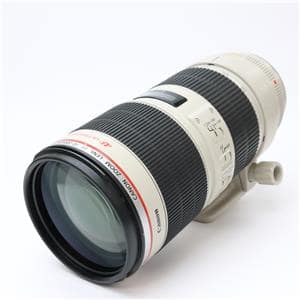 Canon レンズ　まとめ売り Canon 交換レンズ・レンズアクセサリー 中古 商品一覧｜新品
