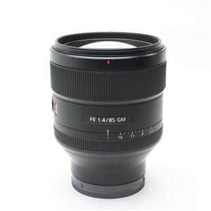Sony FE 85mm GM レンズ SONY FE 85mm F1.4 GM II レビュー × 関 一也｜描写性の進化と
