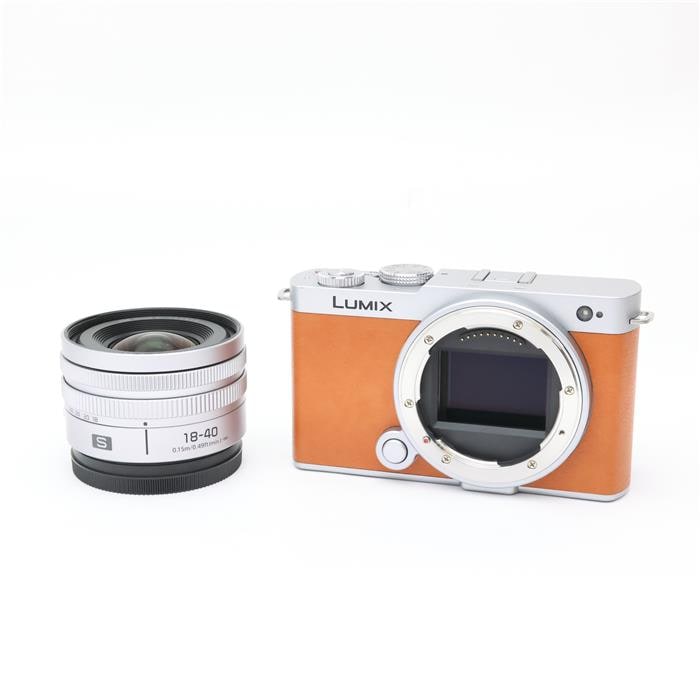 LUMIX S9 広角ズームレンズキット DC-S9N-D