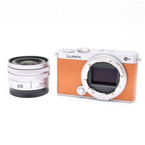 Panasonic (パナソニック) LUMIX S9 広角ズームレンズキット DC-S9N-D