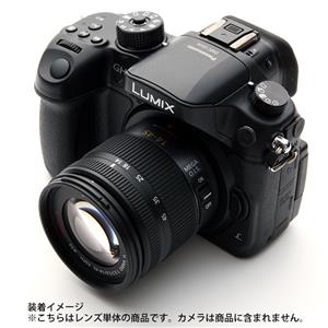 Panasonic (パナソニック) LUMIX G VARIO 14-45mm F3.5-5.6 ASPH. MEGA OIS. H-FS014045