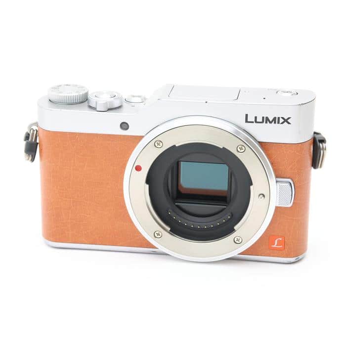 LUMIX GF9 ボディ DC-GF9