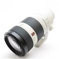 SONY (ソニー) FE 100-400mm F4.5-5.6 GM OSS SEL100400GM