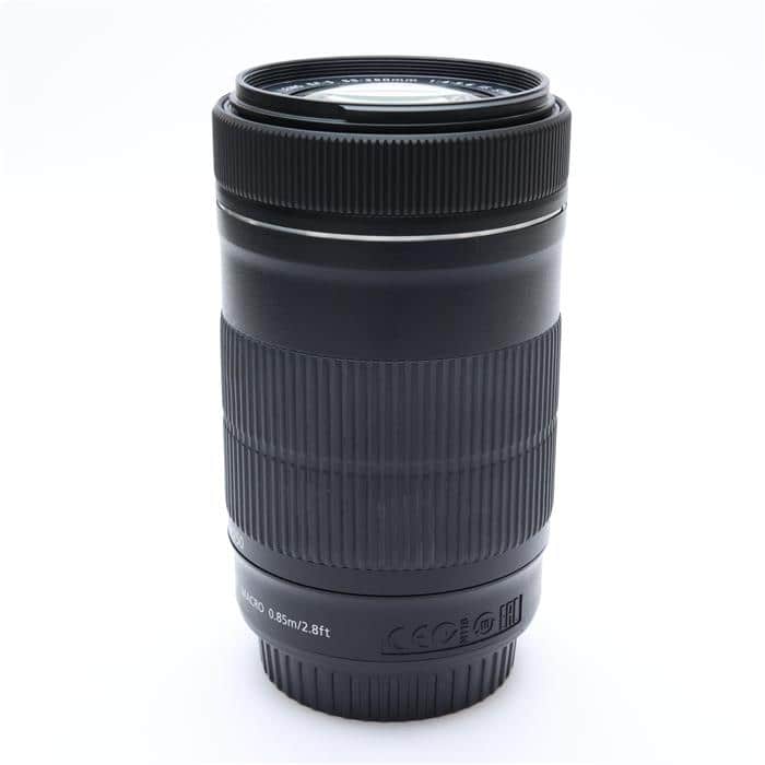 EF-S55-250mm F4-5.6 IS STM