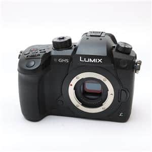Panasonic (パナソニック) LUMIX DC-GH5 ボディ メイン