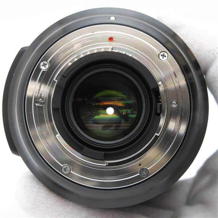 Art 24-105mm F4 DG OS HSM (ニコンF用)