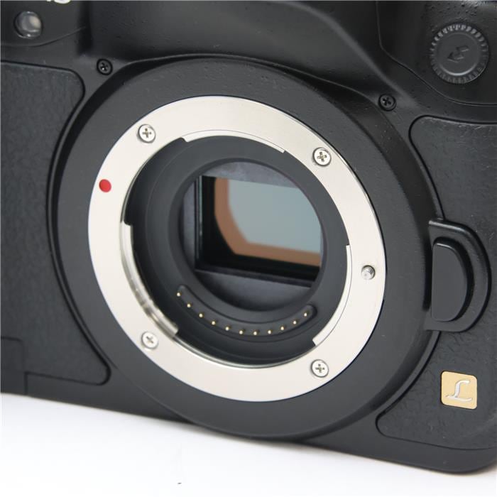 LUMIX GH3 ボディ DMC-GH3