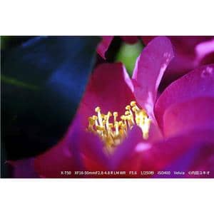 FUJIFILM (フジフイルム) X-T50 XC15-45mmレンズキット シルバー