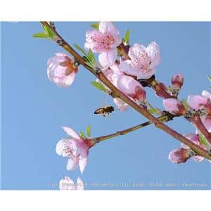 FUJIFILM (フジフイルム) X-T50 XC15-45mmレンズキット シルバー