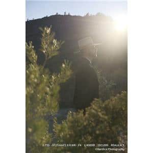 FUJIFILM (フジフイルム) X-T50 XC15-45mmレンズキット シルバー