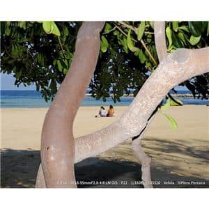 FUJIFILM (フジフイルム) X-T50 XC15-45mmレンズキット シルバー