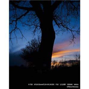 FUJIFILM (フジフイルム) X-T50 XC15-45mmレンズキット シルバー