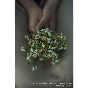 FUJIFILM (フジフイルム) X-T50 XC15-45mmレンズキット シルバー