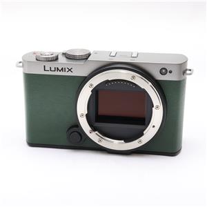 中古)Panasonic (パナソニック) LUMIX S9 ボディ DC-S9-S エクステリア