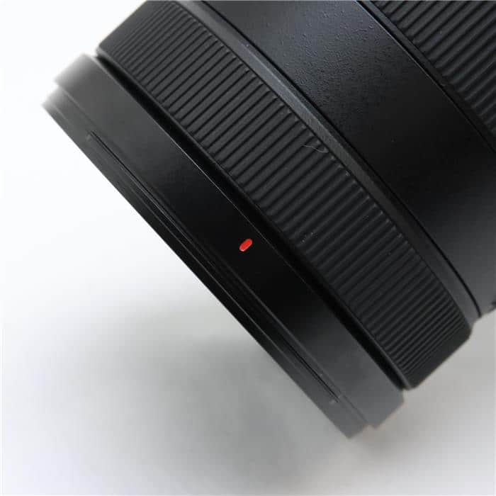FE 24-105mm F4 G OSS SEL24105G