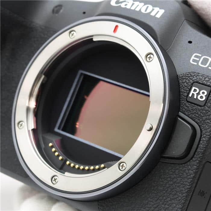 EOS R8 ボディ