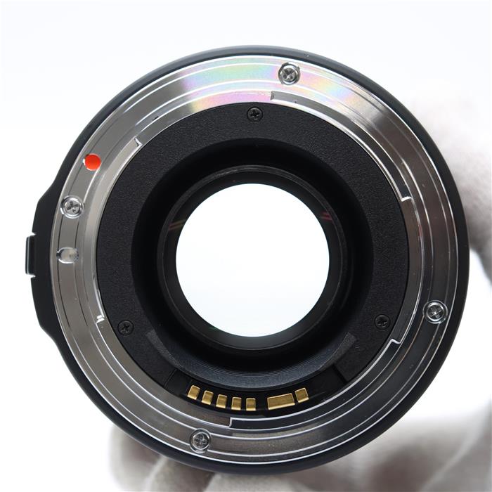 24mm F1.8 EX DG ASPHERICAL MACRO (キヤノンEF用)