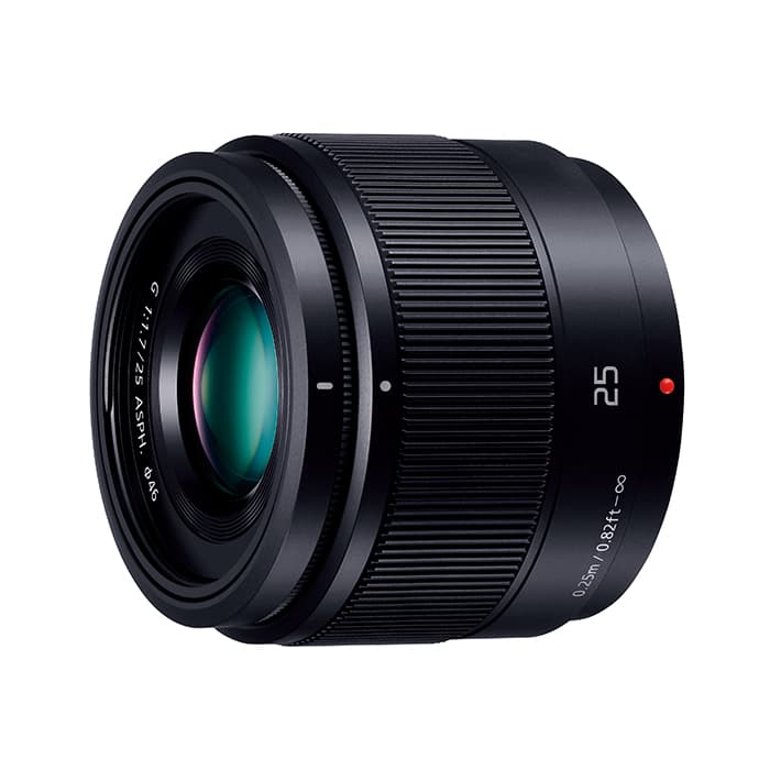 Panasonic LUMIX G 25mm F1.7 H-H025　#8981