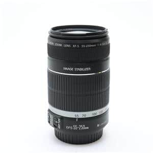 Canon (キヤノン) EF-S55-250mm F4-5.6 IS メイン