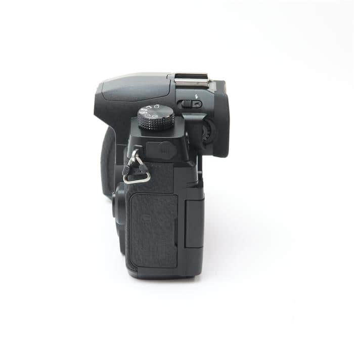 LUMIX DC-G99 ボディ