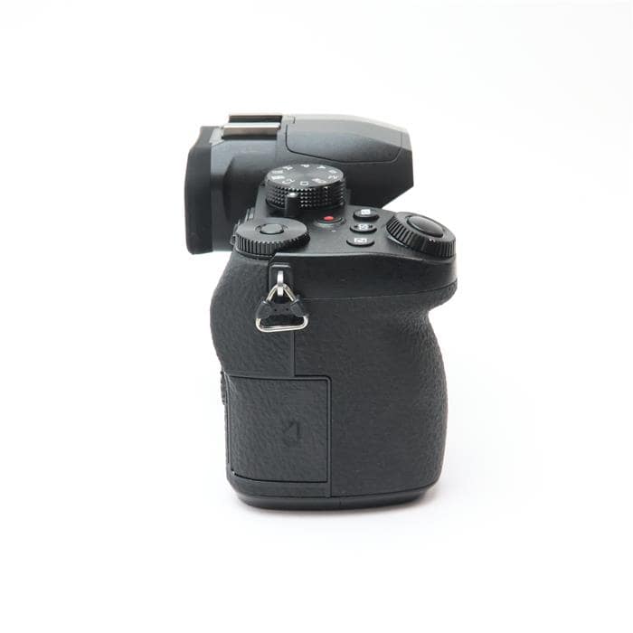 LUMIX DC-G99 ボディ