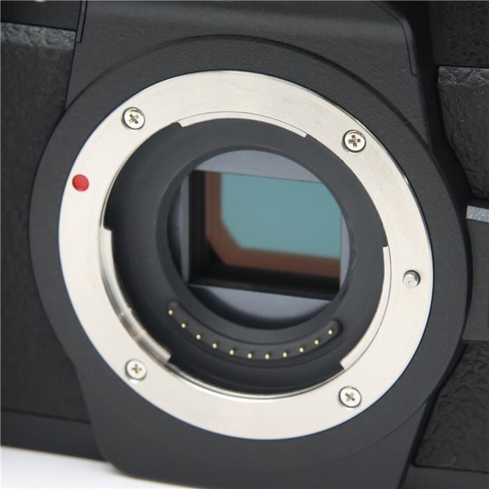 LUMIX DC-G99 ボディ