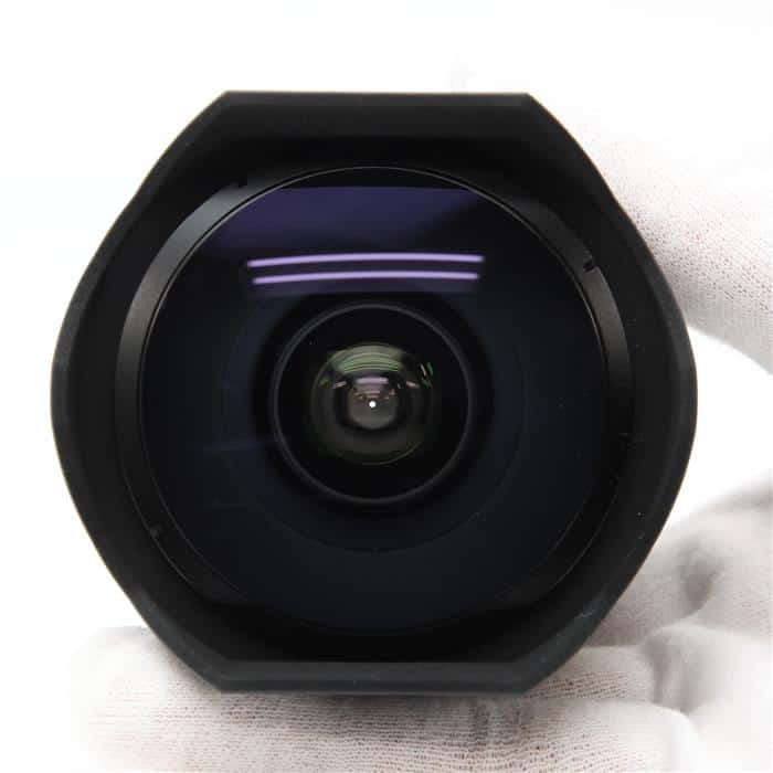 16mm F2.8 Fisheye SAL16F28(ソニーA用)