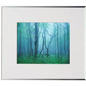 Kenko (ケンコー) アルミ額縁 ギャラリー 六切 アクリル入り AGY-6-SV シルバー メイン