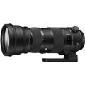 SIGMA (シグマ) Sports 150-600mm F5-6.3 DG OS HSM(キヤノンEF用）