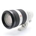 SONY (ソニー) FE 100-400mm F4.5-5.6 GM OSS SEL100400GM