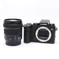 Panasonic (パナソニック) LUMIX DC-S5K 標準ズームレンズキット ブラック