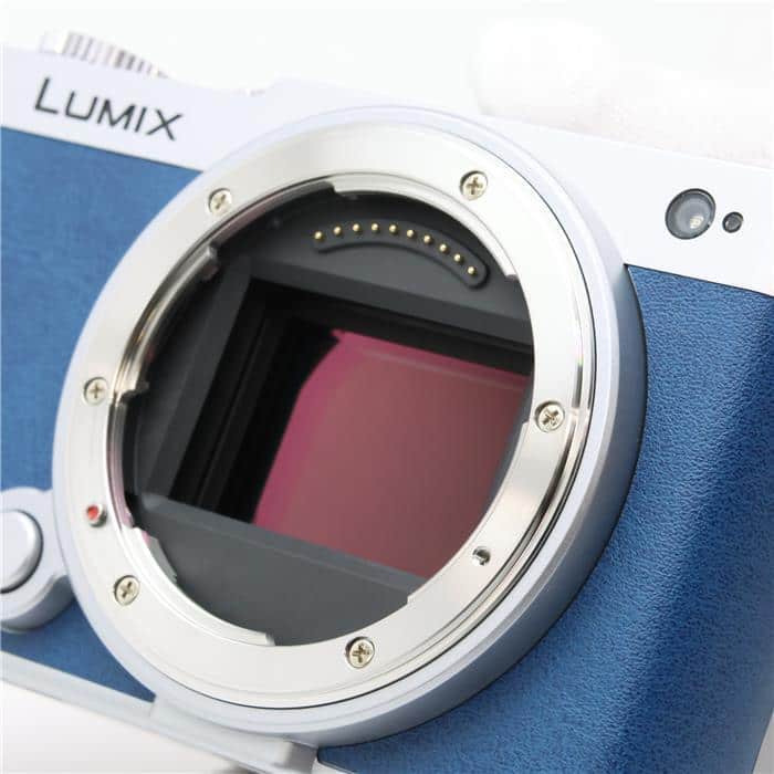 LUMIX S9 広角ズームレンズキット DC-S9N-D エクステリア張替済み キャメルオレンジ