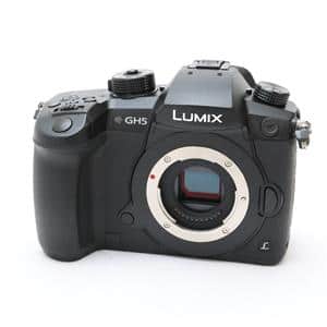 Panasonic - 【美品】LUMIX DC-GH5 ボディ (RD-SPM049) LUMIX DC-GH5 ボディ (RD-SPM049)美品