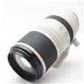 Canon (キヤノン) RF100-500mm F4.5-7.1 L IS USM