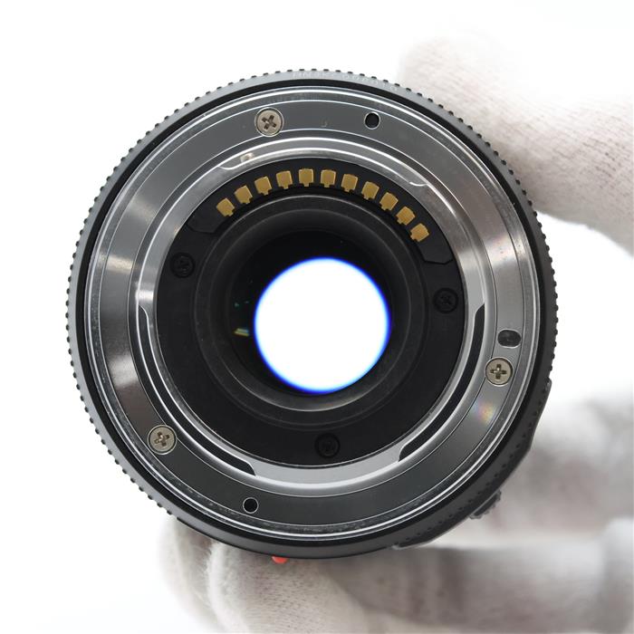 LUMIX G X VARIO PZ 45-175mm F4.0-5.6 ASPH. POWER O.I.S.