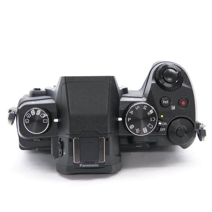 ルミックスGX－8 ボディ・レンズ・フラッシュ・マイク・専用本